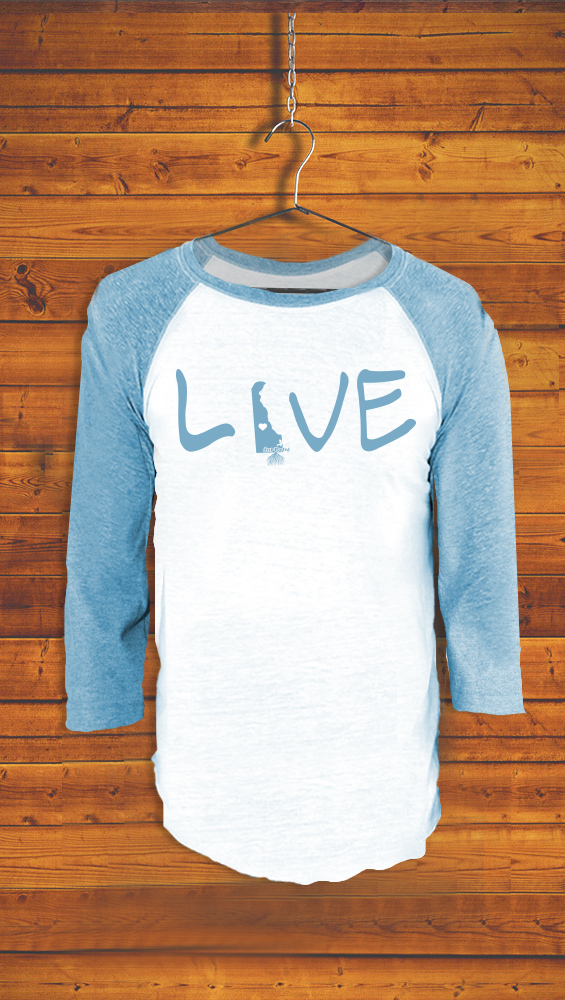 DELAWARE <br> ADULT UNISEX <BR> TRIBLEND 3/4 BASEBALL TEE <br> WHITE / POOL BLUE