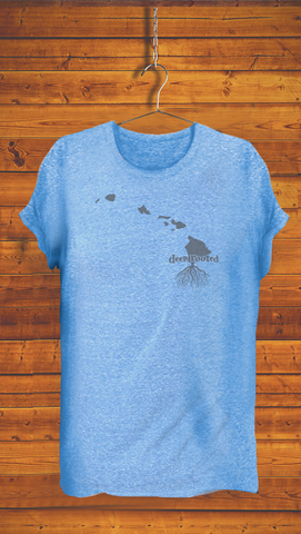 HAWAII <br> ADULT & YOUTH UNISEX <br> ECO TRIBLEND <br> CHARCOAL & ROYAL BLUE